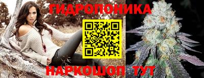 мяу мяу мука Кандалакша