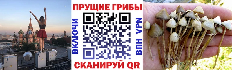 Галлюциногенные грибы мухоморы  Красноярск 