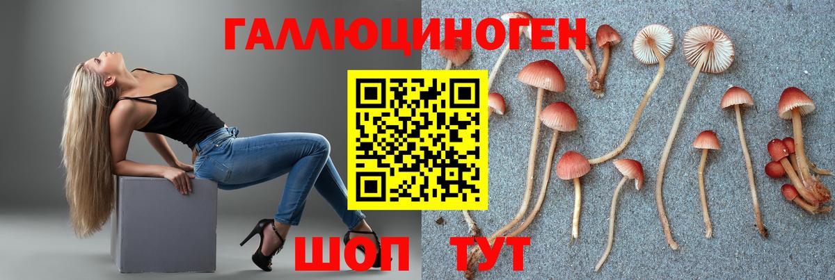 Красноярск  Галлюциногенные грибы ЛСД  Вход с VPN  хочу наркоту  Псилоцибиновые грибы мухоморы 