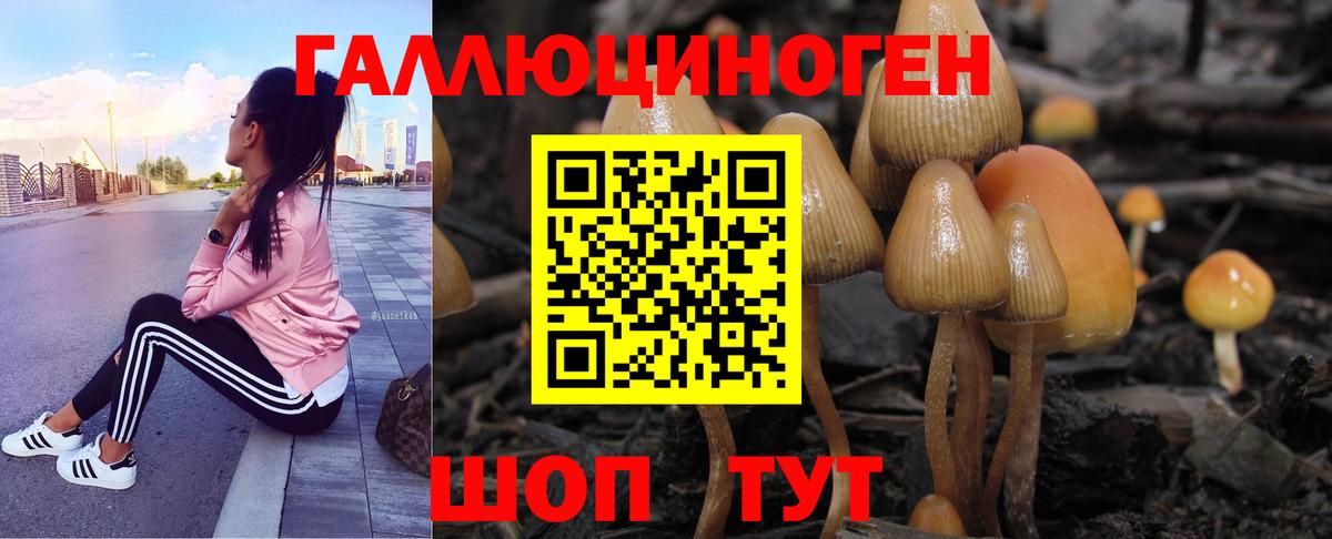 Галлюциногенные грибы GOLDEN TEACHER Красноярск